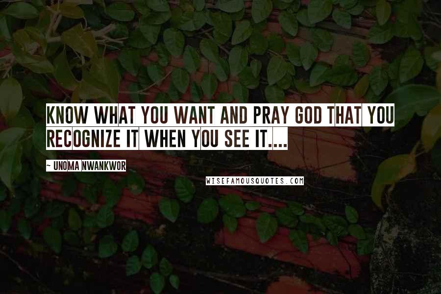 Unoma Nwankwor quotes: Know what you want and pray God that you recognize it when you see it....