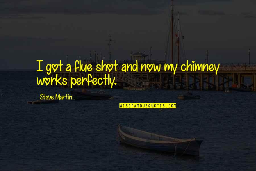 Unopened Basketball Quotes By Steve Martin: I got a flue shot and now my