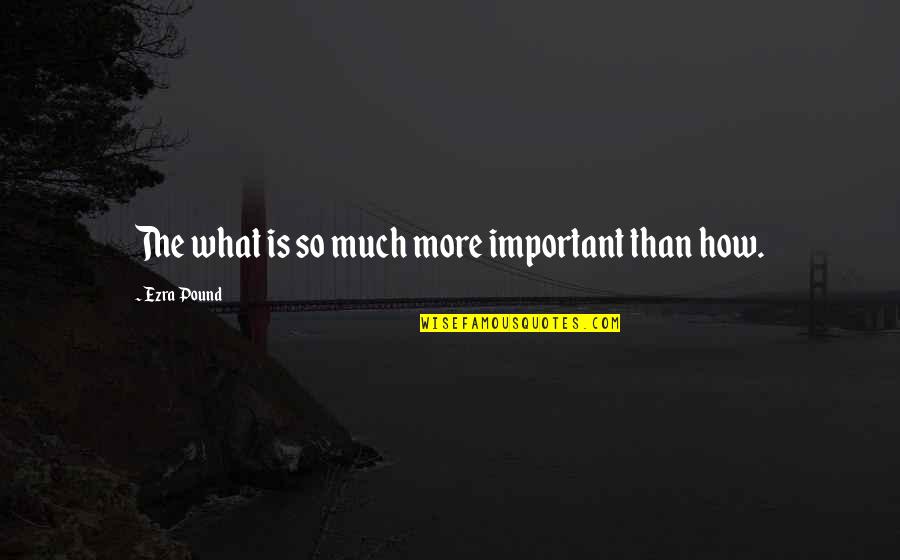 Unplanned Meet Up Quotes By Ezra Pound: The what is so much more important than