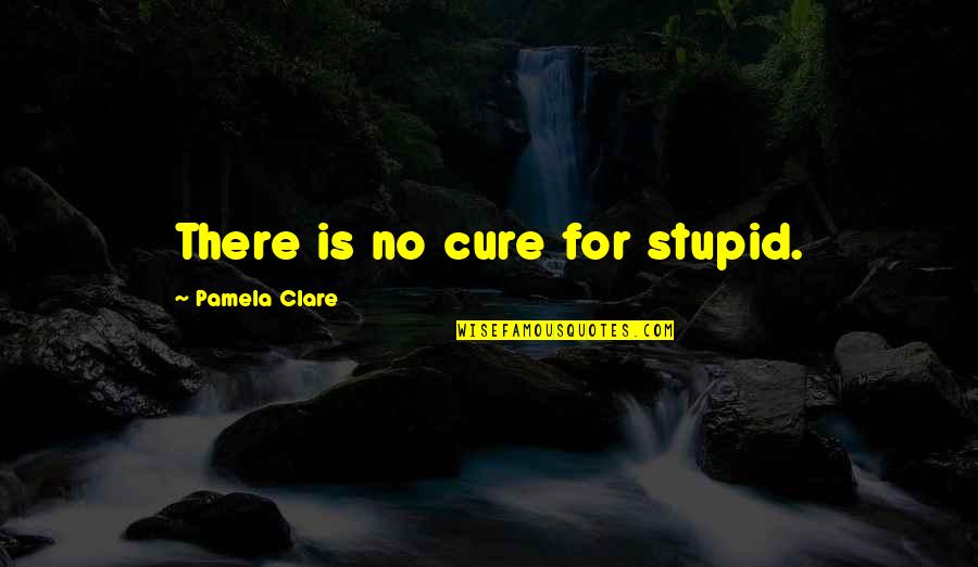 Unplanted Drying Quotes By Pamela Clare: There is no cure for stupid.