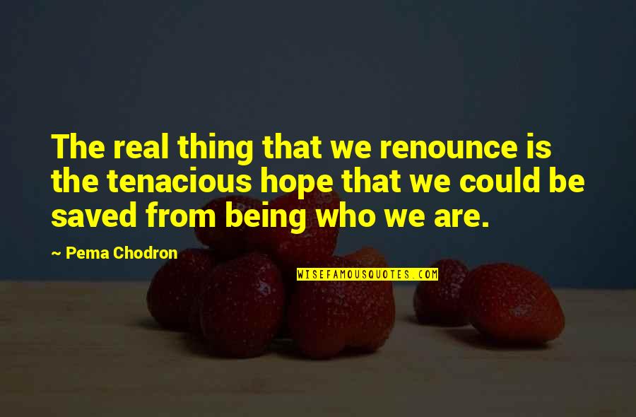 Unplowed Means Quotes By Pema Chodron: The real thing that we renounce is the