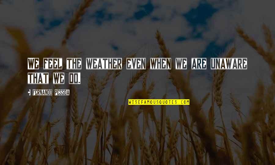 Unprintable Voting Quotes By Fernando Pessoa: We feel the weather even when we are