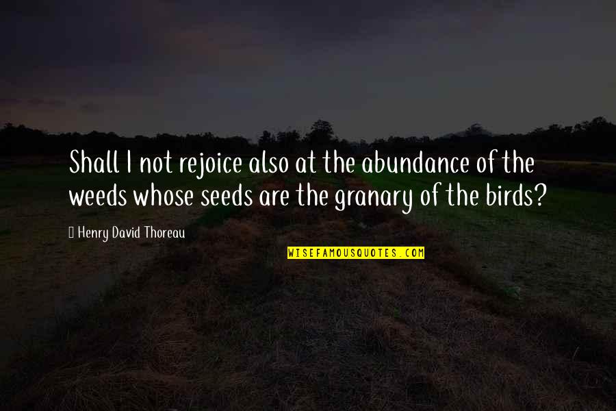 Unprocessed Wheat Quotes By Henry David Thoreau: Shall I not rejoice also at the abundance