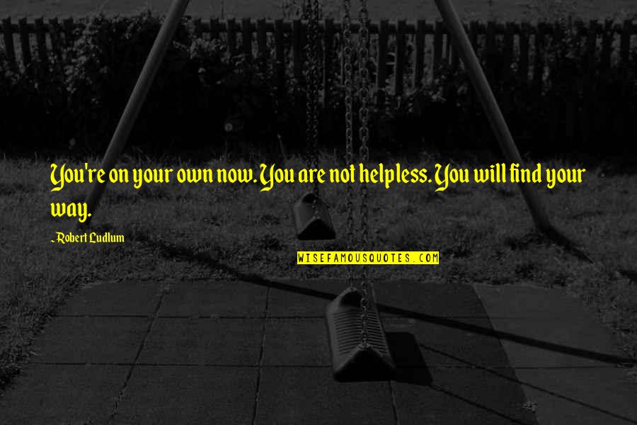Unprofitable How Do You Draw Quotes By Robert Ludlum: You're on your own now. You are not
