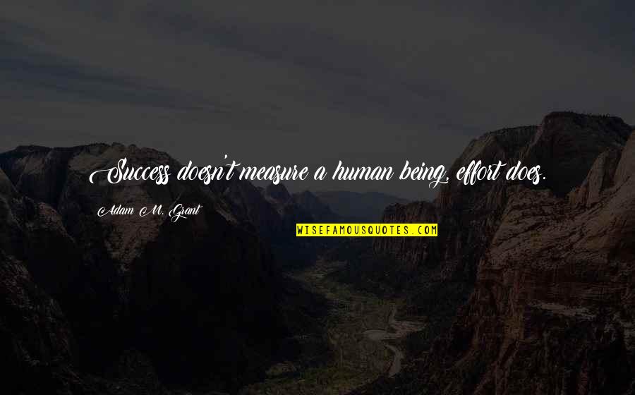 Unrealised Quotes By Adam M. Grant: Success doesn't measure a human being, effort does.