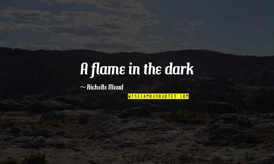 Unreasonable Behaviour Quotes By Richelle Mead: A flame in the dark
