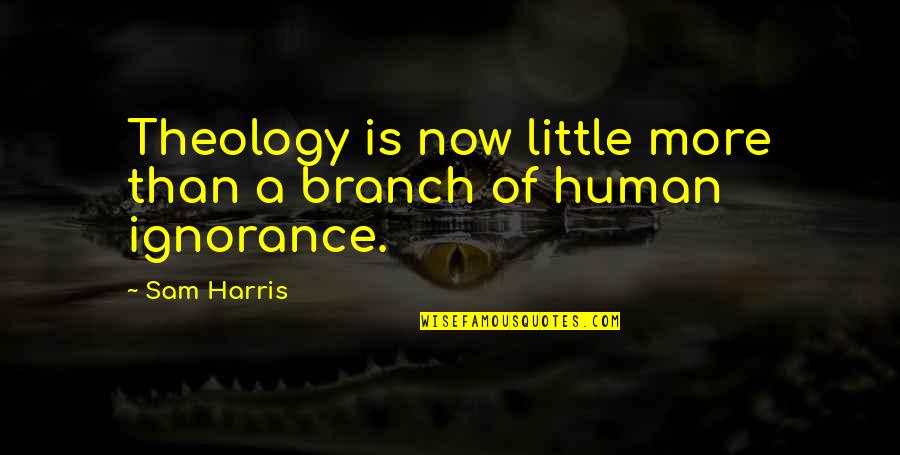 Unrecognizable Quotes By Sam Harris: Theology is now little more than a branch