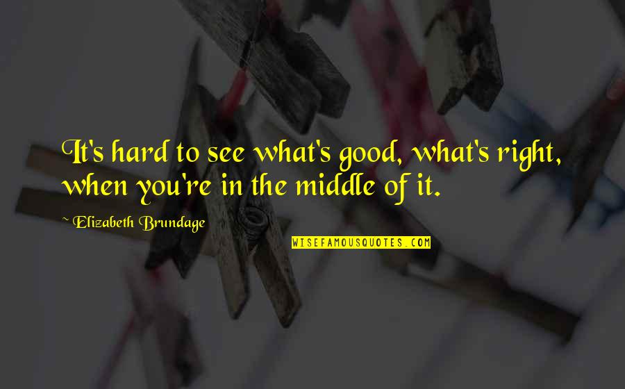 Unreducible Quotes By Elizabeth Brundage: It's hard to see what's good, what's right,
