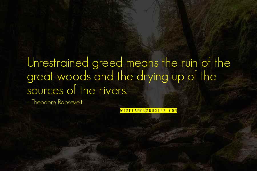 Unrestrained Quotes By Theodore Roosevelt: Unrestrained greed means the ruin of the great