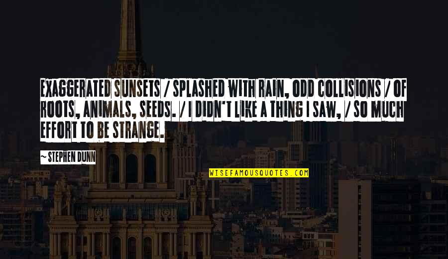 Unrivalled Collectibles Quotes By Stephen Dunn: Exaggerated sunsets / splashed with rain, odd collisions Unrivalled Collectibles Quotes By Stephen Dunn: Exaggerated sunsets / splashed with rain, odd collisions