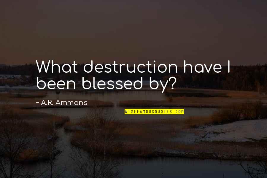 Unsafely Quotes By A.R. Ammons: What destruction have I been blessed by?