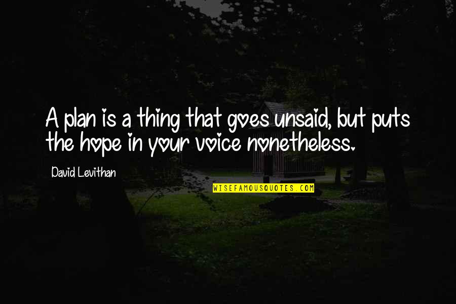 Unsaid Quotes By David Levithan: A plan is a thing that goes unsaid,