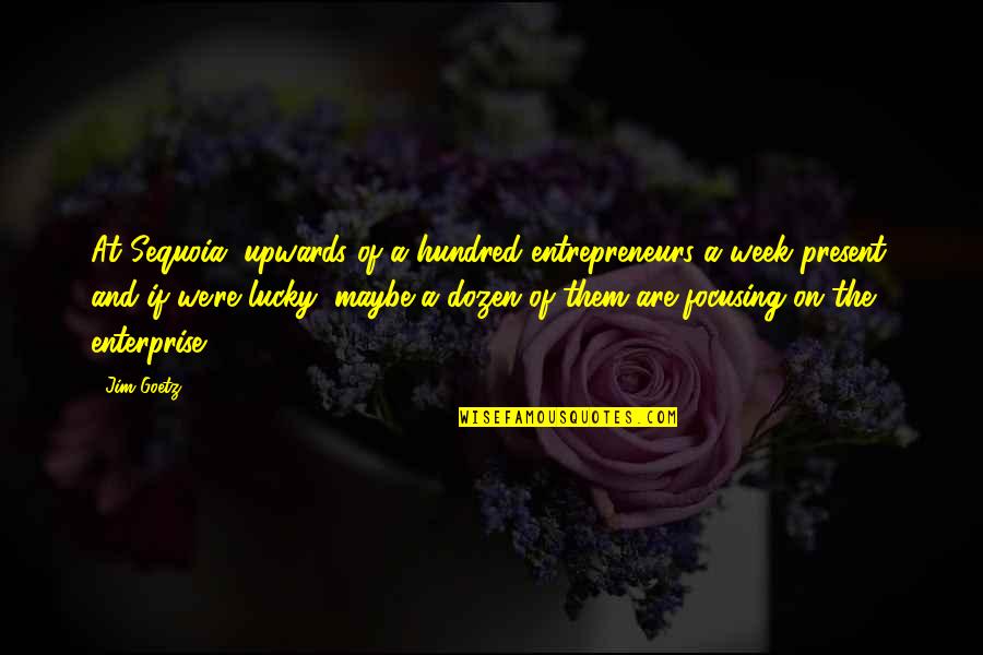 Unsanctioned Pro Quotes By Jim Goetz: At Sequoia, upwards of a hundred entrepreneurs a Unsanctioned Pro Quotes By Jim Goetz: At Sequoia, upwards of a hundred entrepreneurs a