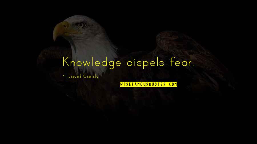 Unscientific Thinking Quotes By David Gandy: Knowledge dispels fear.