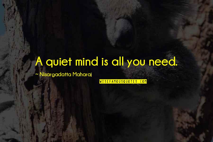 Unseeable Beauty Quotes By Nisargadatta Maharaj: A quiet mind is all you need.