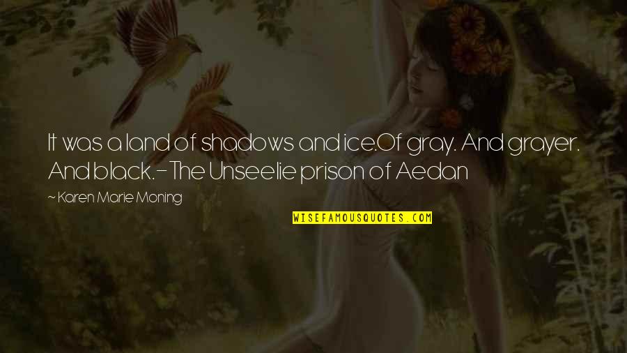 Unseelie Quotes By Karen Marie Moning: It was a land of shadows and ice.Of