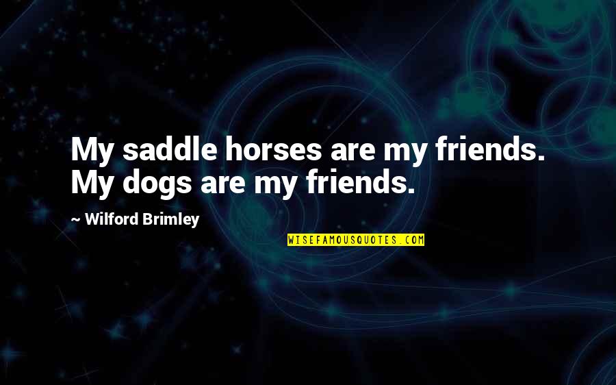 Unselfish Marriages And Families Quotes By Wilford Brimley: My saddle horses are my friends. My dogs