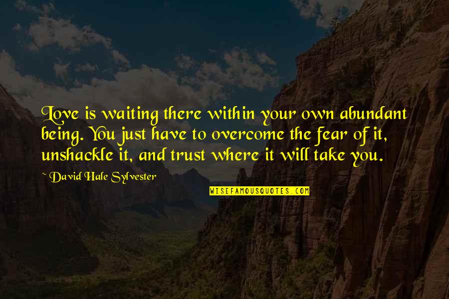 Unshackle Quotes By David Hale Sylvester: Love is waiting there within your own abundant Unshackle Quotes By David Hale Sylvester: Love is waiting there within your own abundant