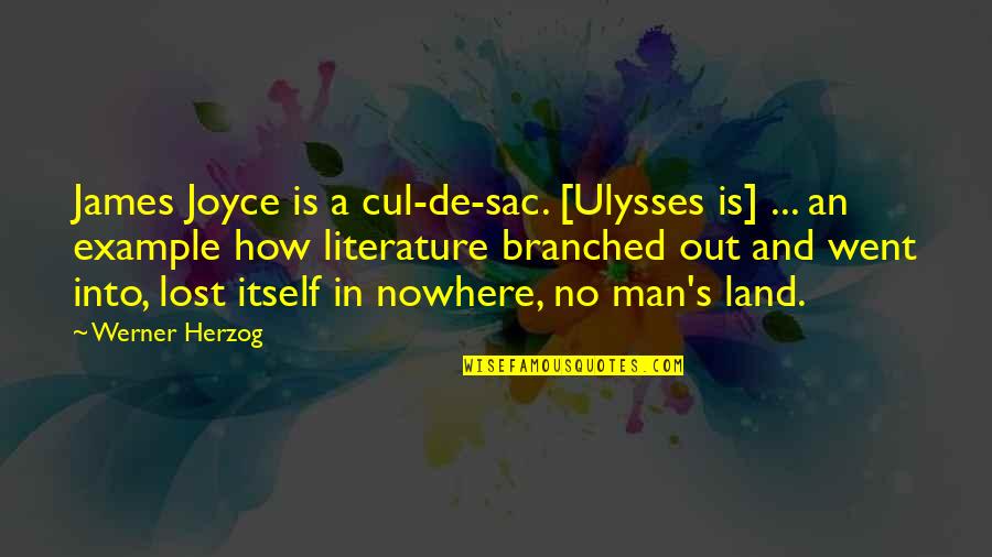 Unshoe Quotes By Werner Herzog: James Joyce is a cul-de-sac. [Ulysses is] ...