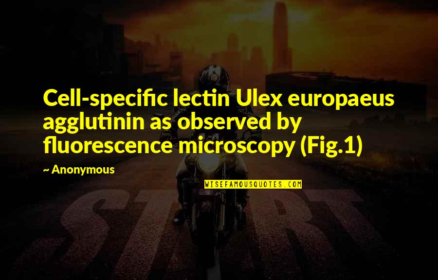 Unshored Quotes By Anonymous: Cell-specific lectin Ulex europaeus agglutinin as observed by Unshored Quotes By Anonymous: Cell-specific lectin Ulex europaeus agglutinin as observed by