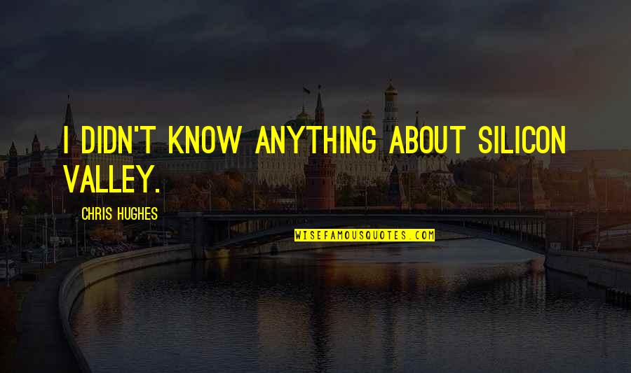 Unskinned Catfish Quotes By Chris Hughes: I didn't know anything about Silicon Valley.