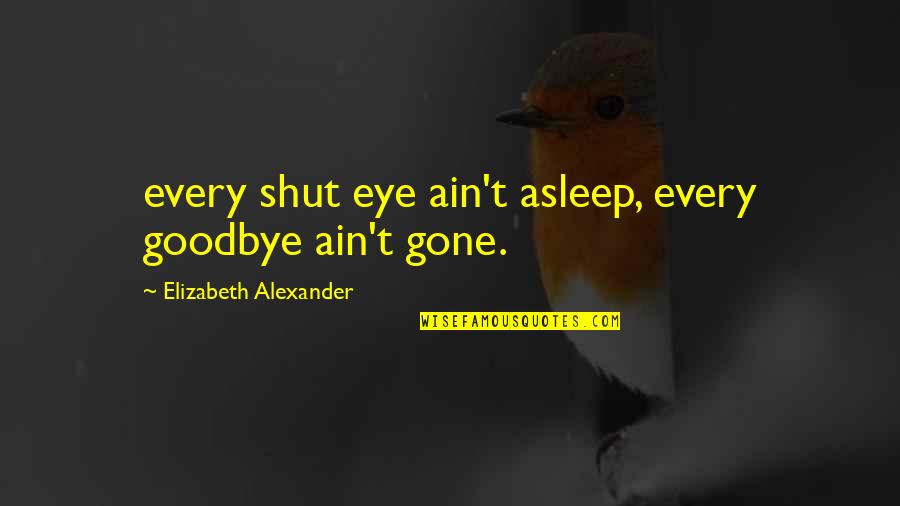 Unsocialized Synonym Quotes By Elizabeth Alexander: every shut eye ain't asleep, every goodbye ain't