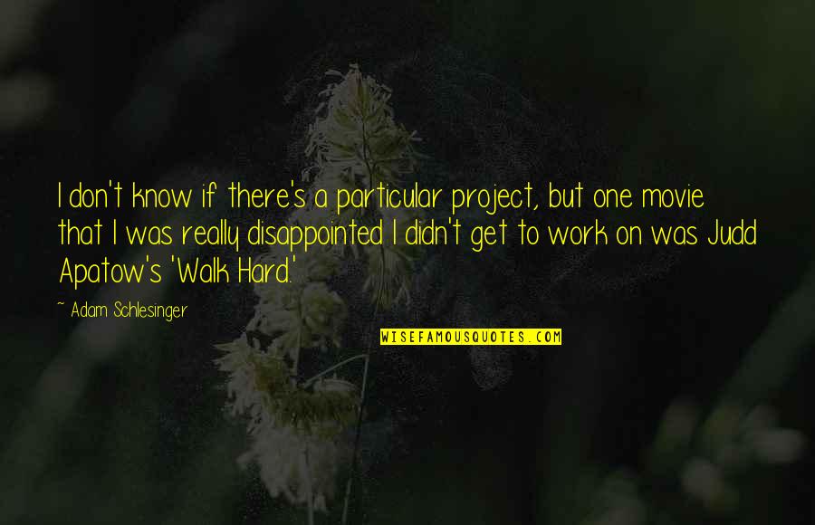 Unsoothed Quotes By Adam Schlesinger: I don't know if there's a particular project,