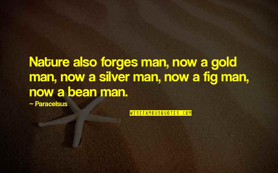 Unsophisticates Quotes By Paracelsus: Nature also forges man, now a gold man,