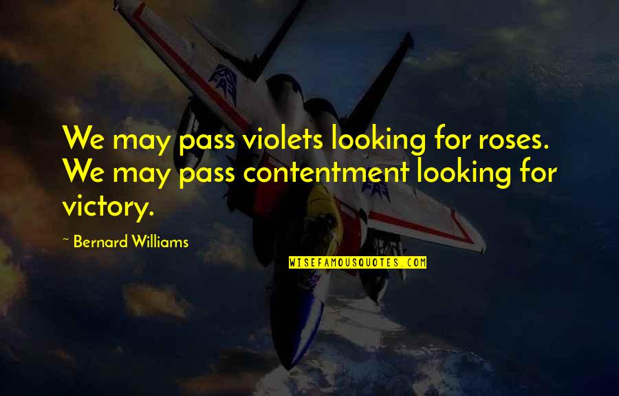 Unsourced Quotes By Bernard Williams: We may pass violets looking for roses. We Unsourced Quotes By Bernard Williams: We may pass violets looking for roses. We