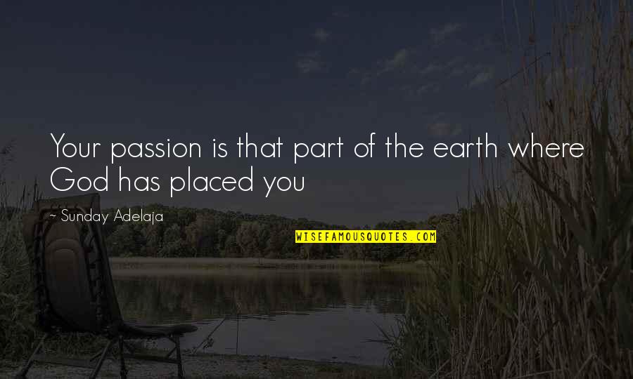 Unspeakable Pain Quotes By Sunday Adelaja: Your passion is that part of the earth