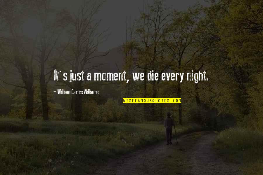Unspecific Dermatitis Quotes By William Carlos Williams: It's just a moment, we die every night.