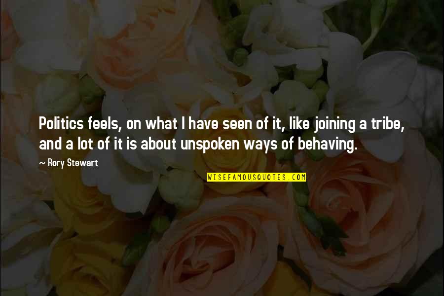 Unspoken Quotes By Rory Stewart: Politics feels, on what I have seen of Unspoken Quotes By Rory Stewart: Politics feels, on what I have seen of