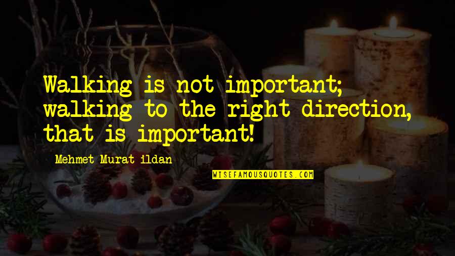 Unstamped Patio Quotes By Mehmet Murat Ildan: Walking is not important; walking to the right