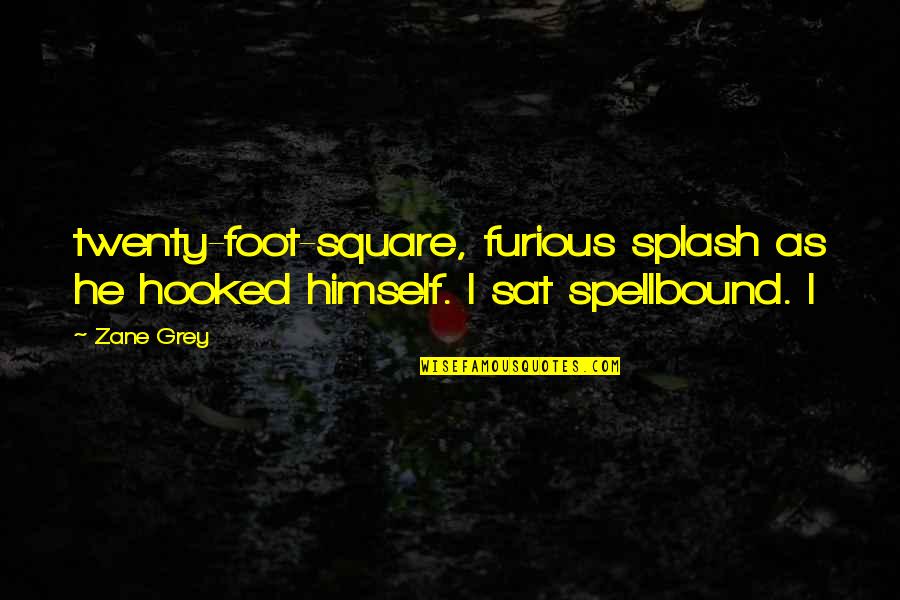 Unsteadying Nature Quotes By Zane Grey: twenty-foot-square, furious splash as he hooked himself. I