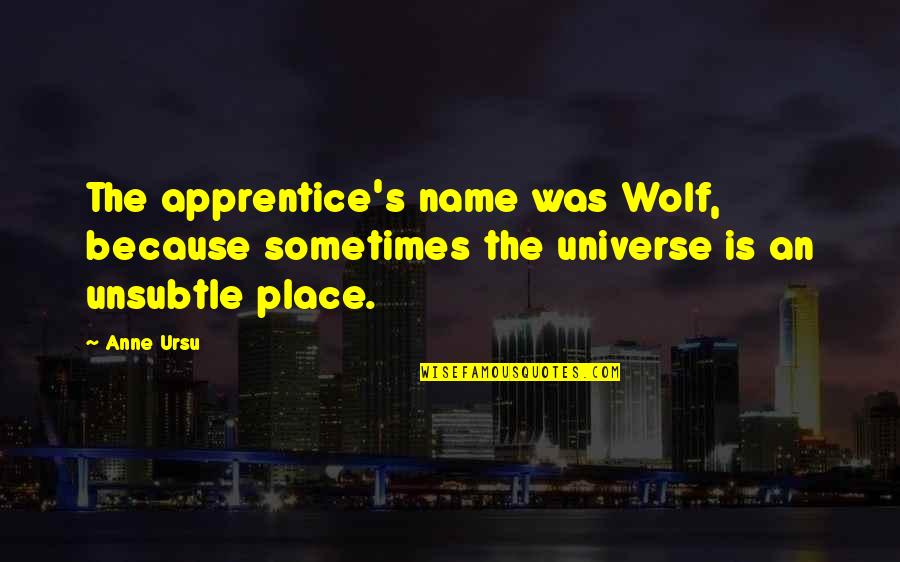 Unsubtle Quotes By Anne Ursu: The apprentice's name was Wolf, because sometimes the