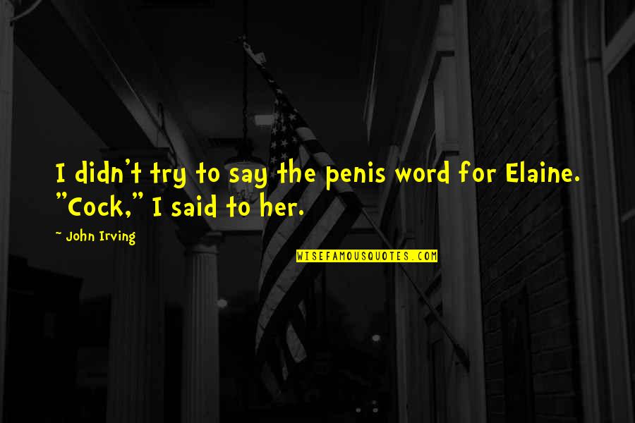 Unsuccessful Business Quotes By John Irving: I didn't try to say the penis word