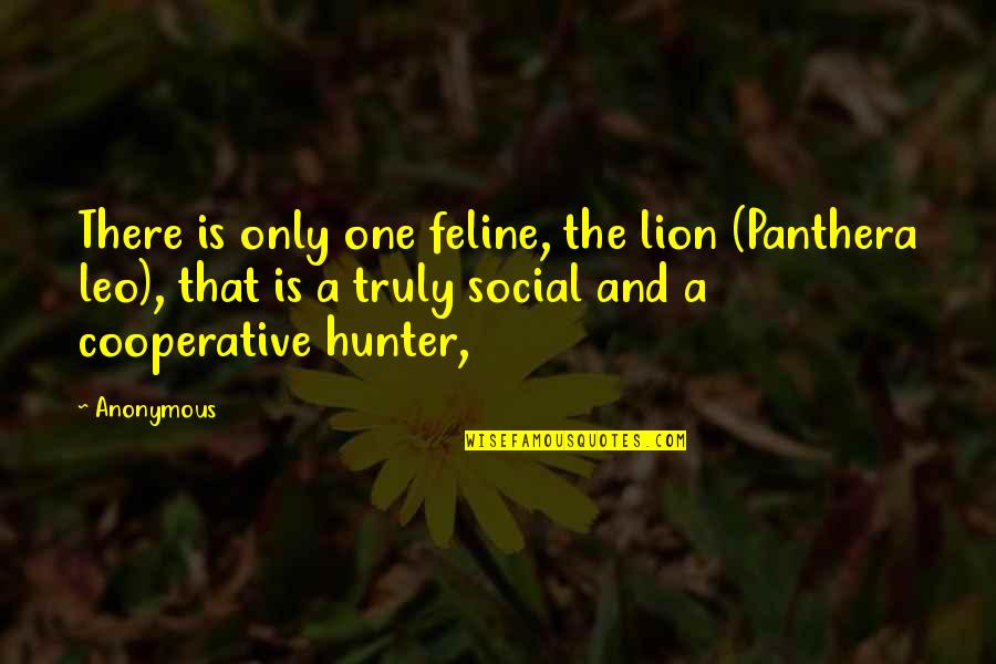 Unsupported Husband Quotes By Anonymous: There is only one feline, the lion (Panthera