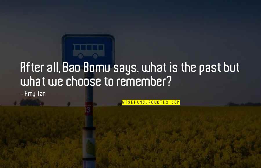 Unsympathised Quotes By Amy Tan: After all, Bao Bomu says, what is the