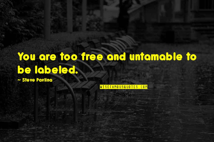 Untamable Quotes By Steve Pavlina: You are too free and untamable to be