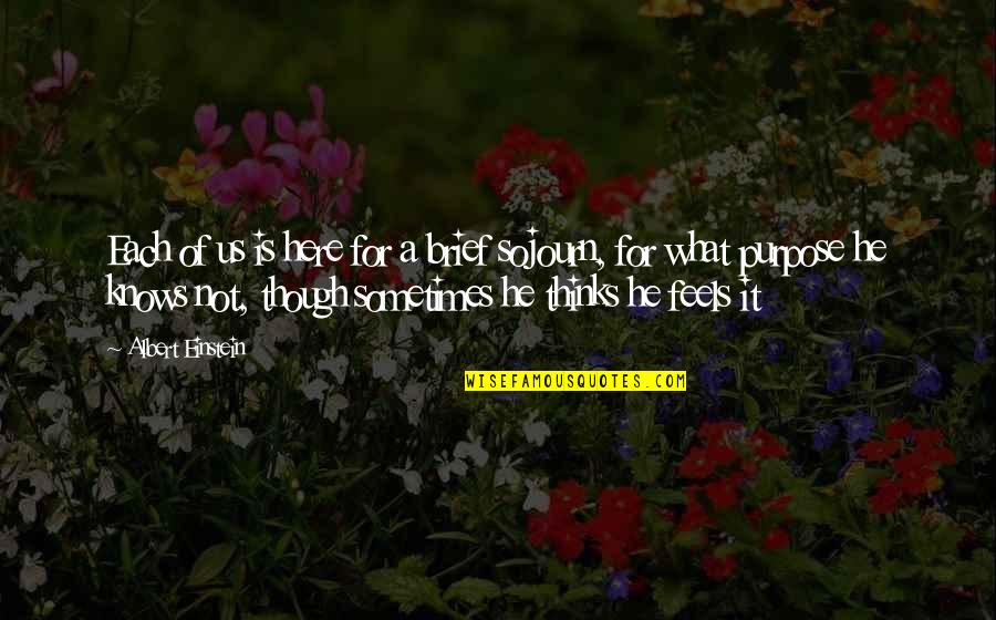 Untheological Quotes By Albert Einstein: Each of us is here for a brief
