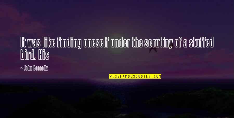 Untidiness Synonym Quotes By John Connolly: It was like finding oneself under the scrutiny