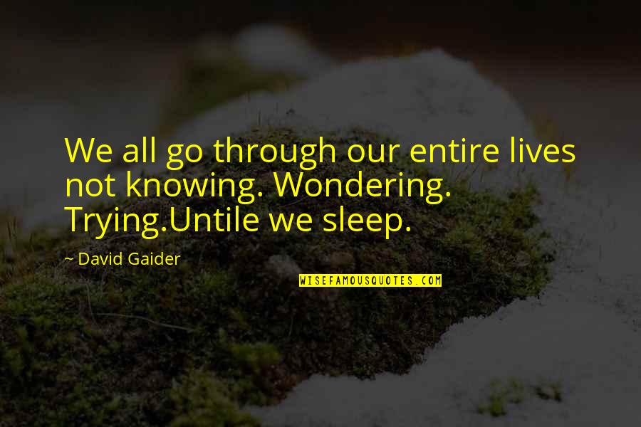 Untile Quotes By David Gaider: We all go through our entire lives not