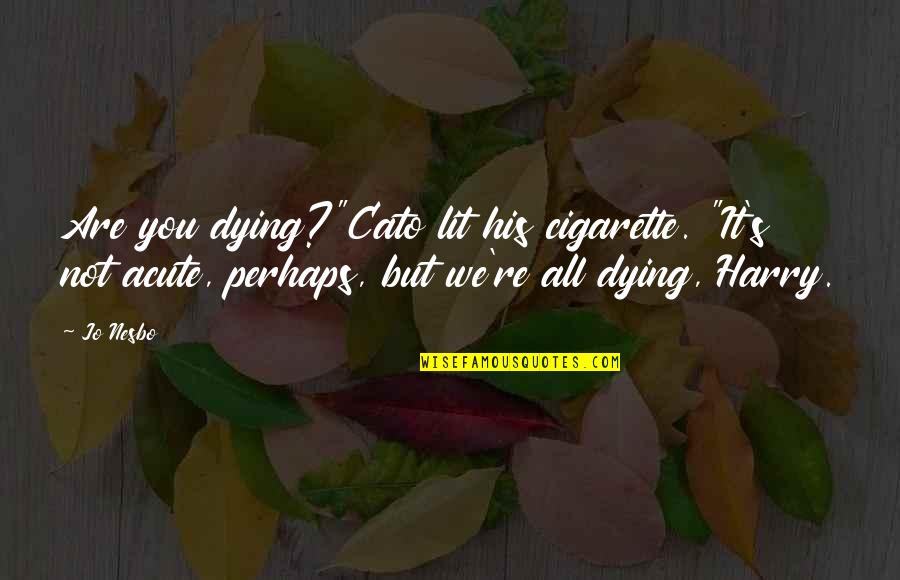 Untowardly Quotes By Jo Nesbo: Are you dying?"Cato lit his cigarette. "It's not Untowardly Quotes By Jo Nesbo: Are you dying?"Cato lit his cigarette. "It's not