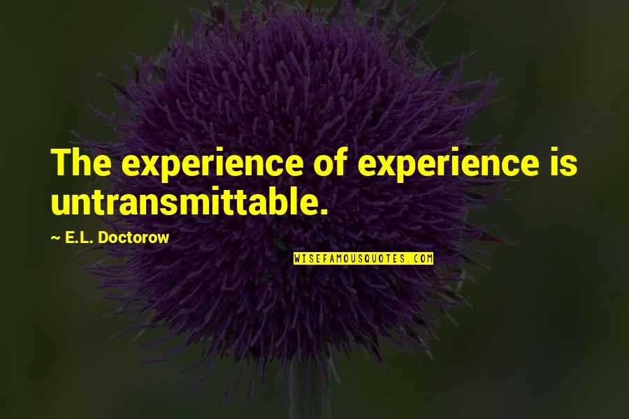 Untransmittable Quotes By E.L. Doctorow: The experience of experience is untransmittable.