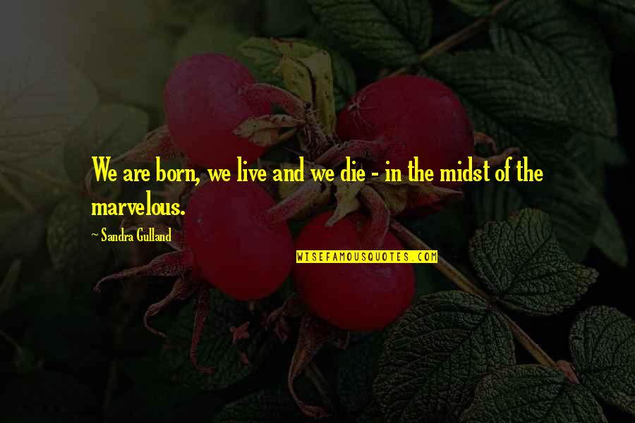 Untrusting Quotes By Sandra Gulland: We are born, we live and we die