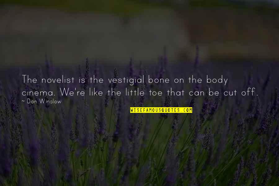 Unturned Severs Quotes By Don Winslow: The novelist is the vestigial bone on the Unturned Severs Quotes By Don Winslow: The novelist is the vestigial bone on the