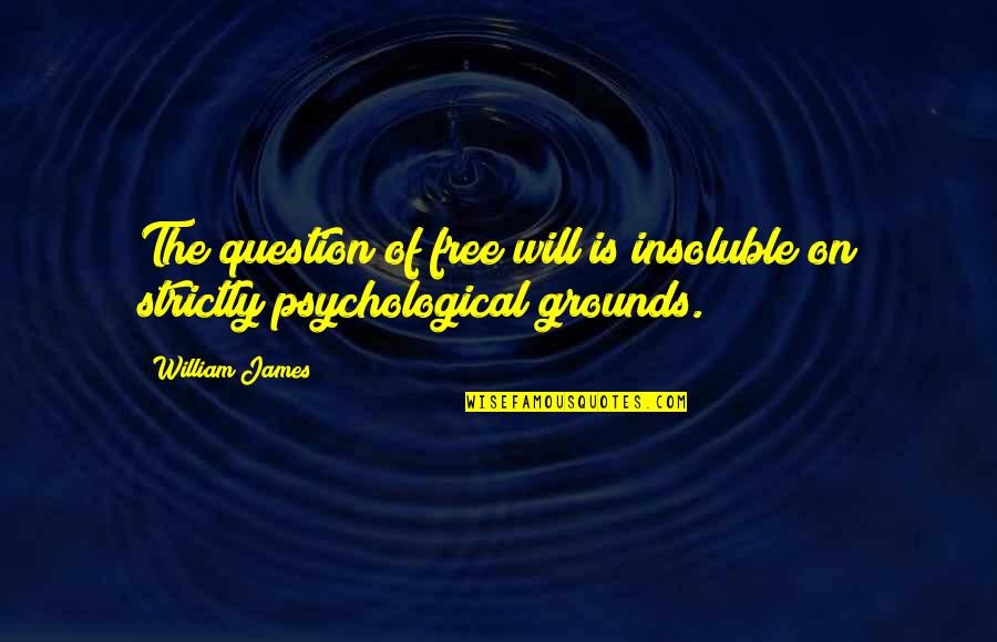 Unusual Relationships Quotes By William James: The question of free will is insoluble on