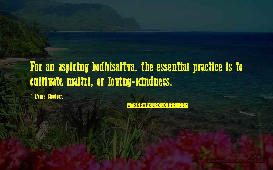 Unwaffling Quotes By Pema Chodron: For an aspiring bodhisattva, the essential practice is