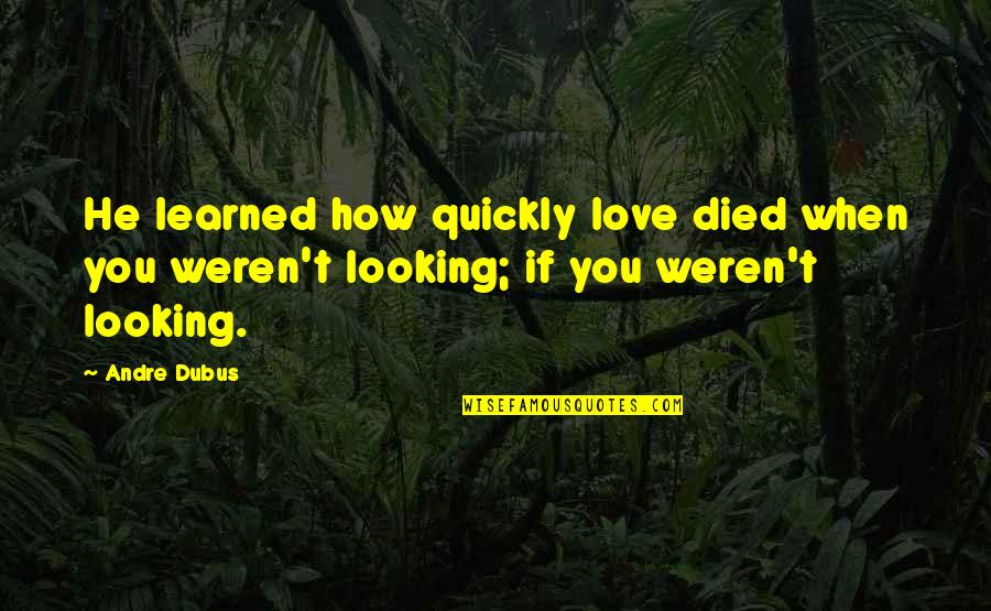 Unwanted Opinions Quotes By Andre Dubus: He learned how quickly love died when you