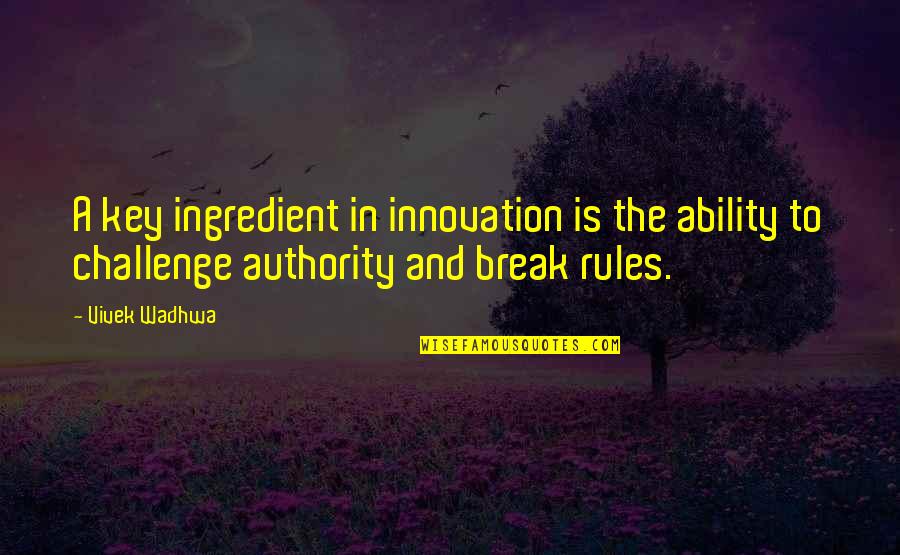 Unwholly Moments Quotes By Vivek Wadhwa: A key ingredient in innovation is the ability